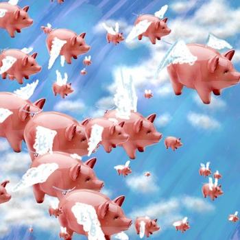 pigs flying
